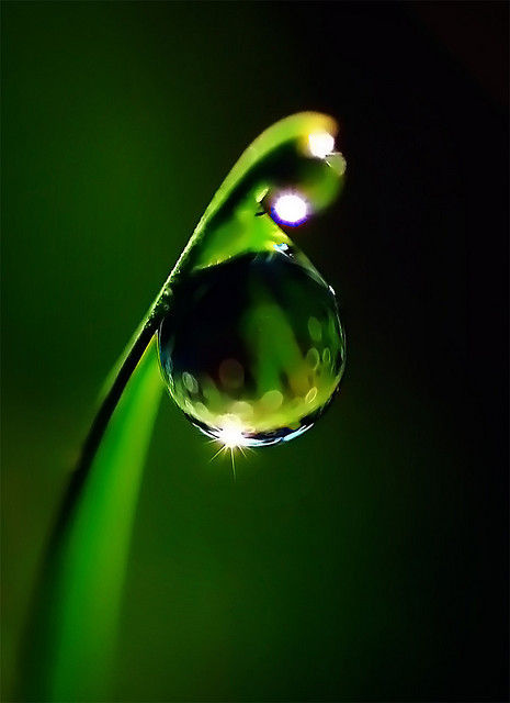 水滴虽小,就在它坠落的瞬间,却被阳光折射出绚丽缤纷的色彩