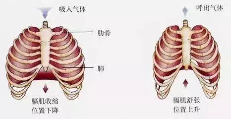 新生儿为什么爱打嗝？月嫂怎样对症下药、迅速止嗝！