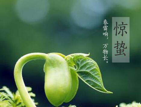 com 最新惊蛰节气高清w88.co