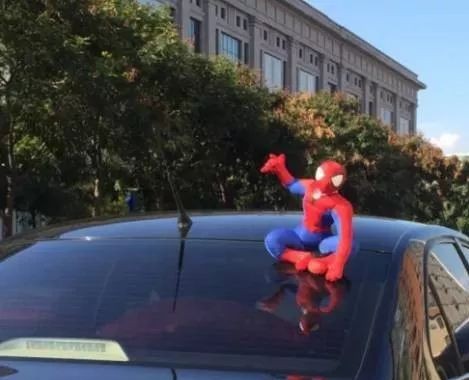 广大车主注意！车顶坐个“蜘蛛侠”很酷？违法！