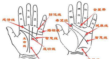 秒懂手相:从事业线看事业财运(三)