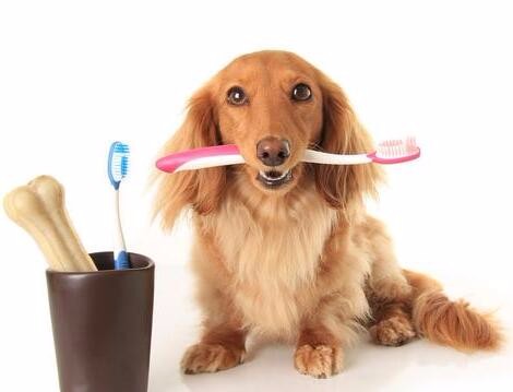 我们每天刷牙,甚至有时一天刷好几次,有没有想