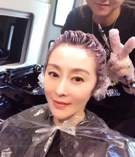50岁张敏近照曝光 气质出众依旧美艳