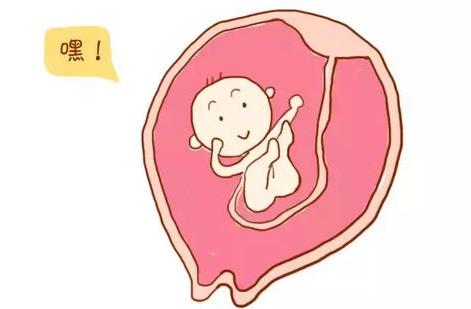 一篇记住孕期所有产检项目和时间!(建议收藏)