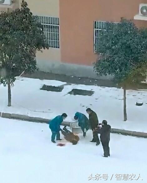 昨日郑州富士康一员工跳楼身亡!富士康再次成