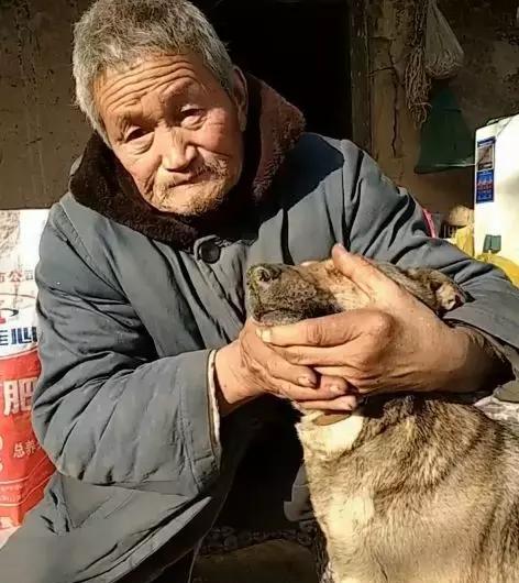 伤心，跟随了一辈子的狗狗去世，老主人坚持亲自把它埋葬！