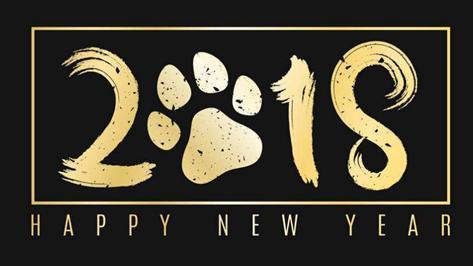 努力奋斗, 加油新时代, 让我们一起点亮2018!