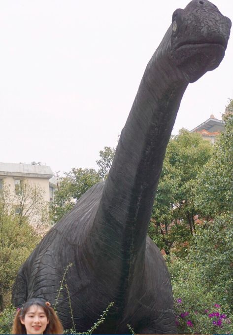 2018最新直男拍照泥石流，活着不好吗?承包了我一整年的笑点!