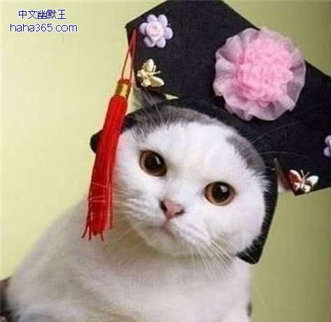 笑不停的二十三张经典收藏搞笑图片！