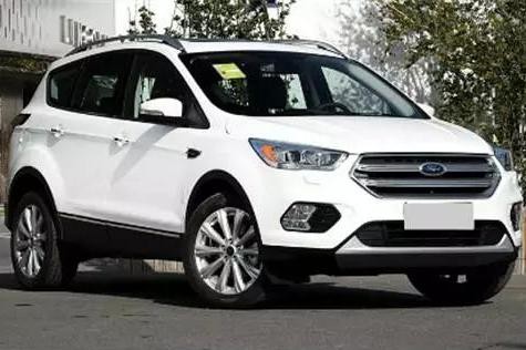 既生瑜何生亮？双雄相争 它竟然败下阵来！