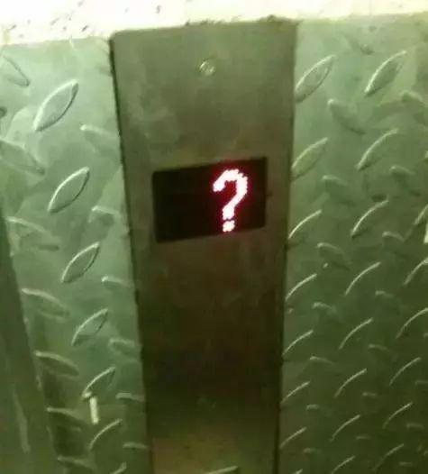 生活中的搞笑趣图,二哈你这是赤裸裸的嘲讽啊!