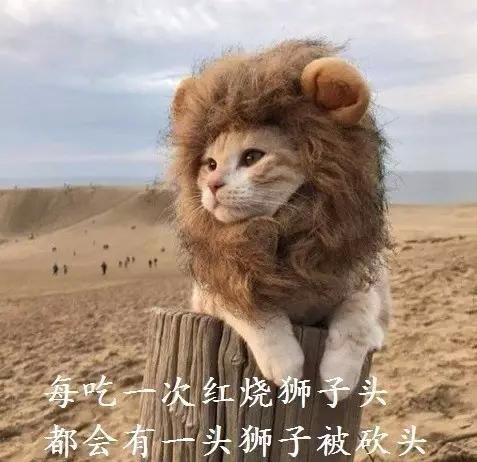 每生产一支口红,就有一只狗失去小丁丁,没有买卖就没有伤害!