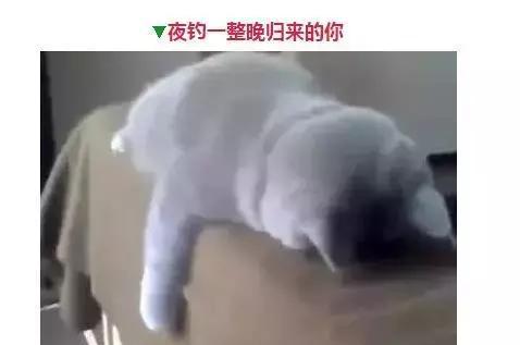 钓鱼人的那些表情，看看你中了几个
