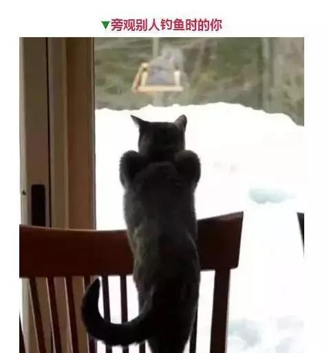 钓鱼人的那些表情，看看你中了几个