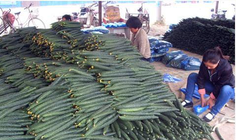 聊城莘县十八里铺镇:87个村建村史、姓氏、村