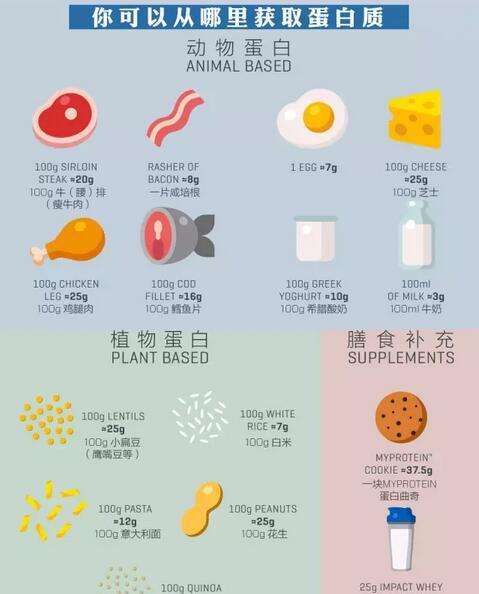 哪些食物蛋白质含量最高?健身收藏备用