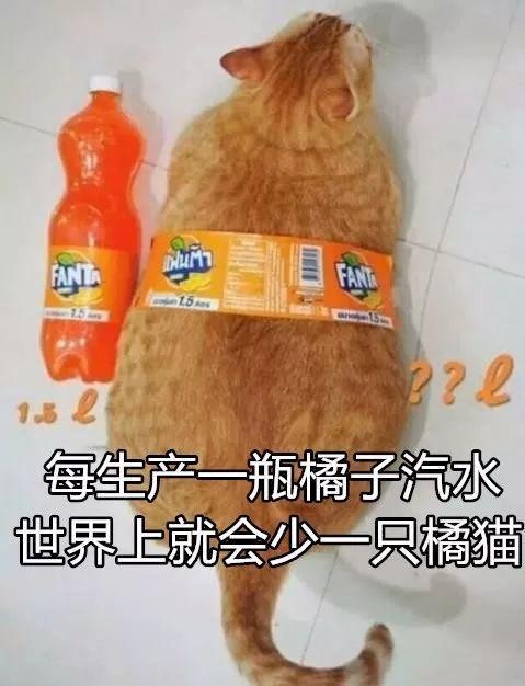 每生产一支口红,就有一只狗失去小丁丁,没有买