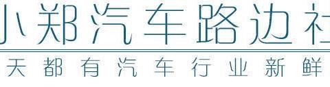 从POLO到保时捷Macan，简谈中国“二奶车”代表车型发展史！
