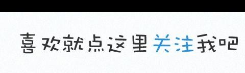 奥迪A4L碰撞吉利远景, 吉利车主: 国产车的质量不是吹的!！