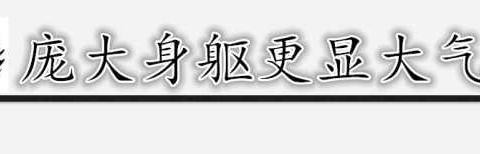 本田首款亲民MPV要上市, 颜值不输奥德赛, 仅11万比GL8更值!