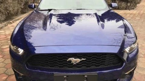 广州小伙花30万买辆福特野马，跑赢邻家奥迪A8丝毫没问题