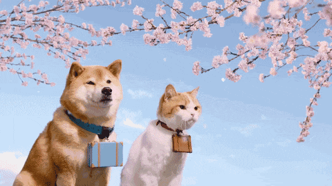 壁纸 动物 狗 狗狗 480_270 gif 动态图 动图