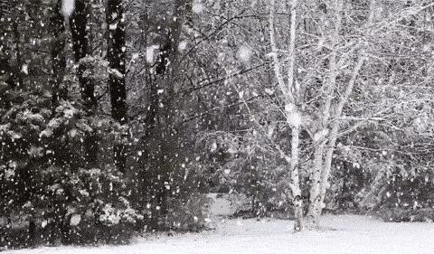 Jeep 4X4=？ 这是道哲学题