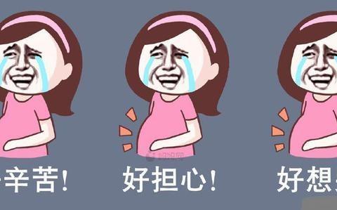 怀孕后孕妈妈,准爸爸和婆婆的日常, 笑哭了! 分分钟做成表情包!
