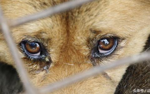 人临终前为什么会流眼泪 临终流泪的科学和心理原因