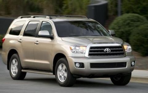 你还以为红杉只是一棵树？它现在已经是陆地上的巨无霸