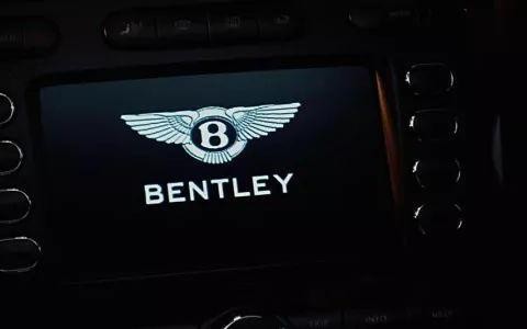 这台移动豪华装甲车 购置税够买台奔驰S