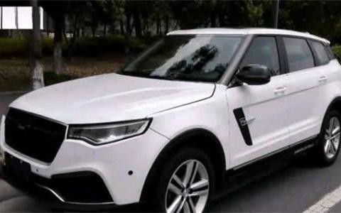 新提顶配众泰T700没到家就撞树，小树纹丝不动发动机却报销了