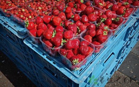 发烧和感冒有什么区别