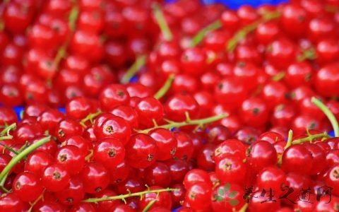 老人突然头晕呕吐是怎么回事