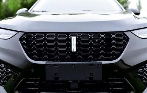 长城最精致的SUV，月售高达8万台，超高配置，还买什么领克01