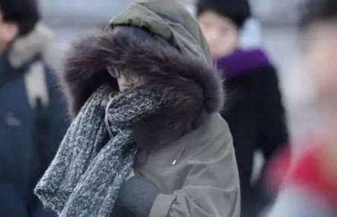 “丰田“最新资讯都在这了，就等你来