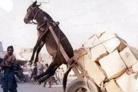 小马拉大车的SUV，快看看你中招没？