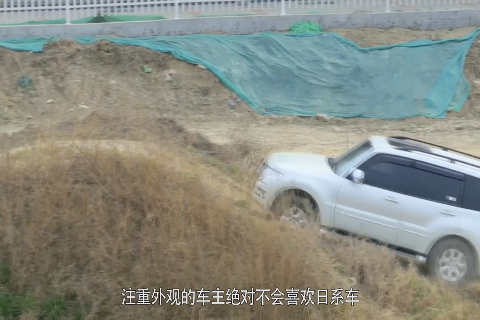 盘点进口车的优缺点