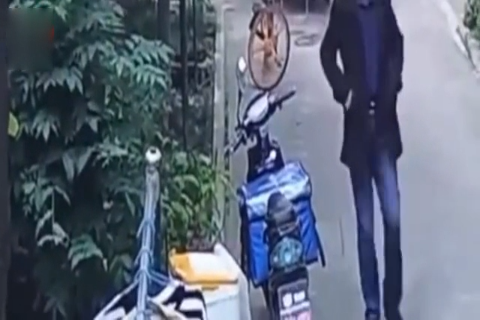 骑手小姐姐电动车数秒被偷 白送半个月外卖