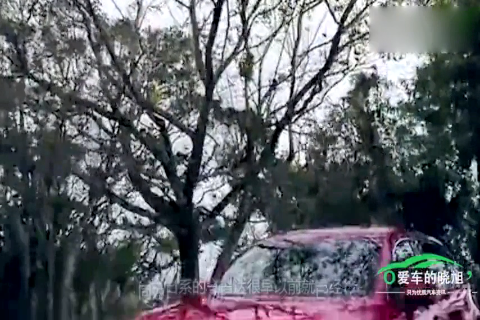 摇号难？特斯拉等一众大牌喊你转战电动车！