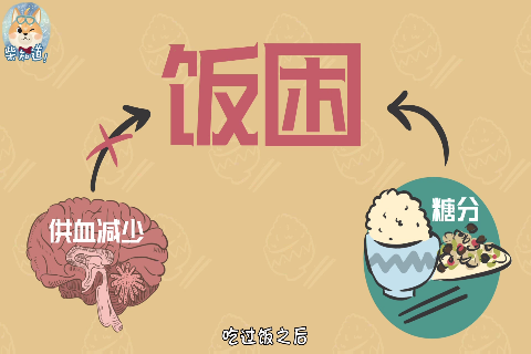 为什么吃饱了就容易犯困?