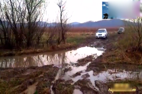 看了这个视频，我感觉得我买的SUV是假的