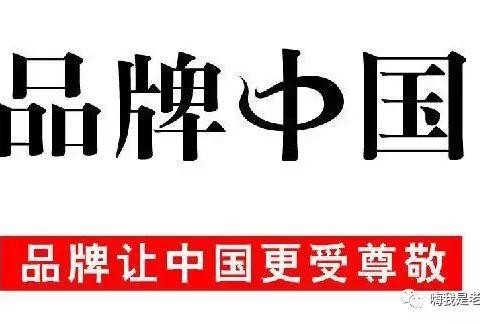 新能源品牌的崛起，需要这样的企业打头阵！