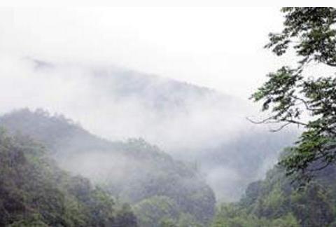 亡命鸳鸯隐居深山十年，默默耕耘创造财富，如今荣归故里霸气回家