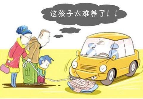 买车不易养车更难？月薪没这个数买车就是充大头鬼