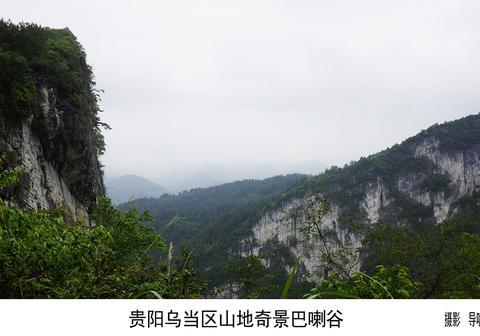 乌当区黑脚杆在哪里？2025年实地寻找途径与避坑指南全解析