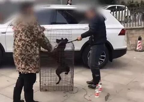 湖南一男子杀狗祭新车