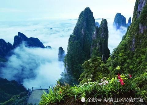 中国湖南有个城市,森林覆盖率全国最高,达81%