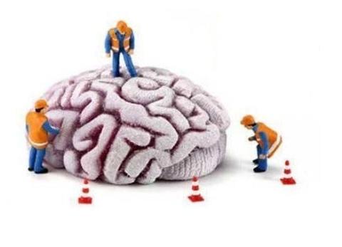 信仰让人变蠢吗 人类变蠢的三种迹象