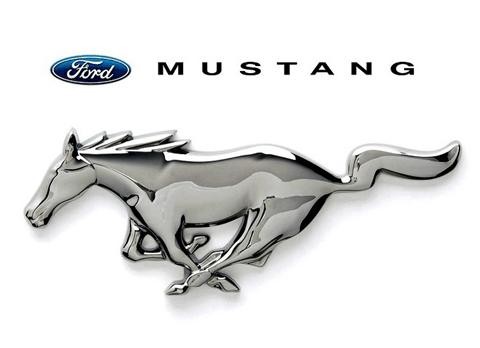 哪个才是真正的野马?